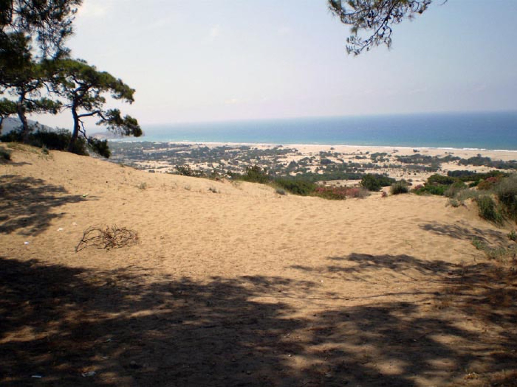 Nature and the dunes