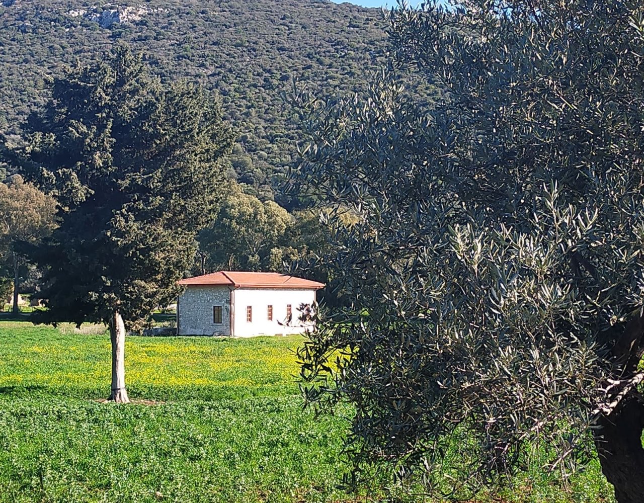 Gelemis village and olive groves