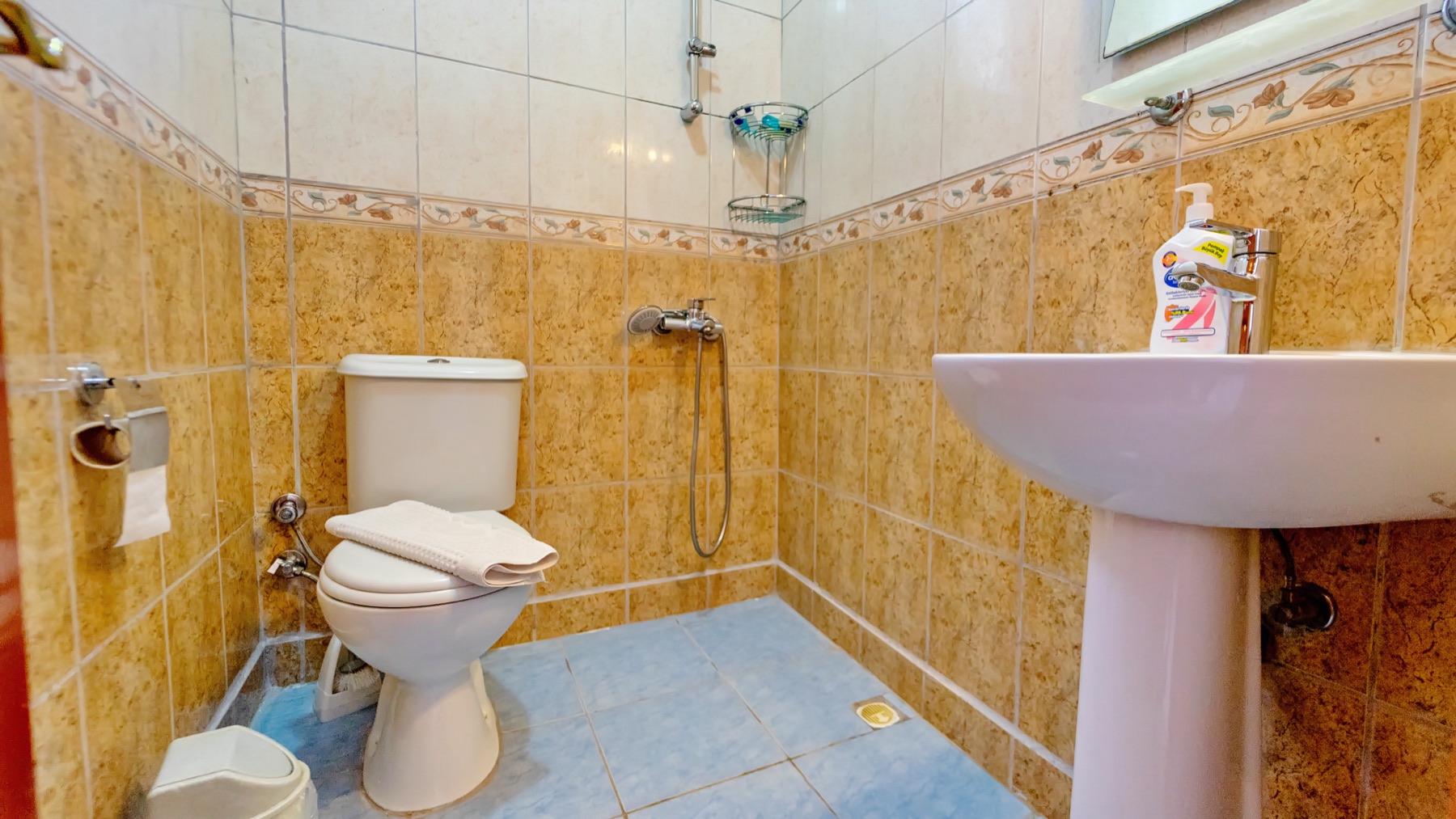 Bathroom area of the economy double room